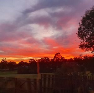 Meet your Posher, Lesley